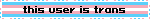 Bliking transgender flag reading this user is trans.